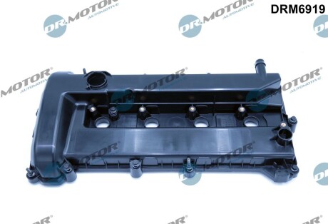 DRM6919 Кришка головки цилiндра DR.MOTOR підбір по vin на Brocar