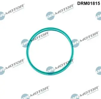 DRM01815 Ущільнювальне кільце, шланг подачі наддувального повітря DR.MOTOR підбір по vin на Brocar