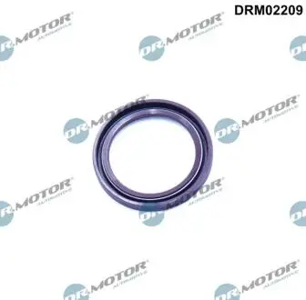 DRM02209 Сальники валу DR.MOTOR підбір по vin на Brocar