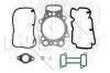 Комплект прокладок ГБЦ SCANIA DC11/DC12/DT12/DSC12 (1CYL) 73012