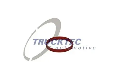0810060 Прокладка, корпус впускного коллектора TRUCKTEC підбір по vin на Brocar