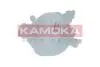 7720054 Бачок компенсацiйний KAMOKA підбір по vin на Brocar