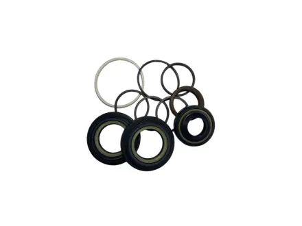 CH9001KIT Ремкомплект рейки з гідропідсилювачем ГПК DODGE Caravan 00-07; CHRYSLER Voyager 00-07 MSG підбір по vin на Brocar