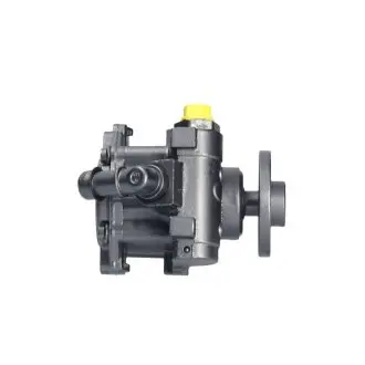 BW023R Насос ГПК відновлений BMW 1 E81-88 04-11, BMW 3 E90-93 05-12, BMW 5 E60-61 03-10 MSG подбор по vin на Brocar