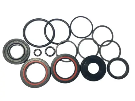 MS9001KIT Ремкомплект рейки з гідропідсилювачем ГПК MASERATI QUATTROPORTE 03-12 MSG подбор по vin на Brocar
