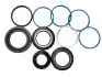 Ремкомплект рейки з гідропідсилювачем ГПК RENAULT 19 88-00 RE9003KIT