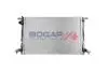 A4210113 Радіатор системи охолодження BOGAP підбір по vin на Brocar