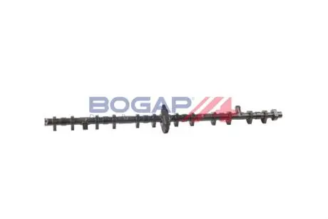 B1924100 Ексцентриковий вал BOGAP подбор по vin на Brocar