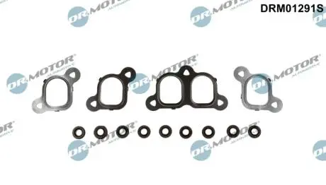 DRM01291S К-т прокладок колектора 13 елементiв DR.MOTOR підбір по vin на Brocar