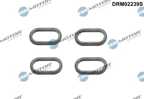 DRM02239S Ущiльнююче кiльце,4 шт DR.MOTOR подбор по vin на Brocar