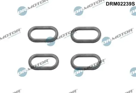 DRM02239S Комплект прокладок гумових DR.MOTOR підбір по vin на Brocar