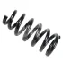 Пружина CS4416F