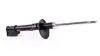 G38738 Стійка амортизатора Renault Duster, Kaptur; Dacia Duster 2010--4 TASHIKO підбір по vin на Brocar