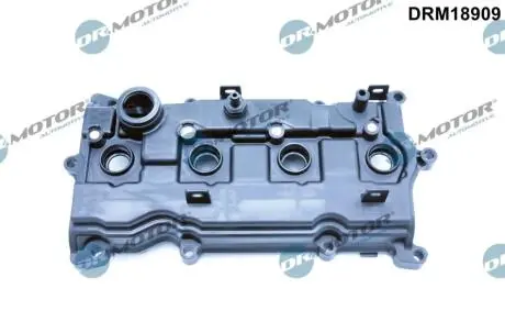 DRM18909 Кришка головки блоку циліндрів ДВЗ DR.MOTOR подбор по vin на Brocar