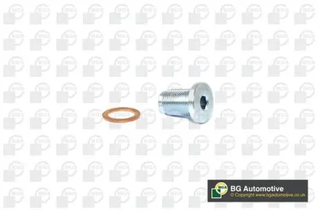 PK2201 Пробка піддону автомобіля BGA підбір по vin на Brocar