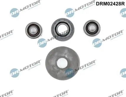 DRM02428R Комплект прокладок з різних матеріалів DR.MOTOR підбір по vin на Brocar