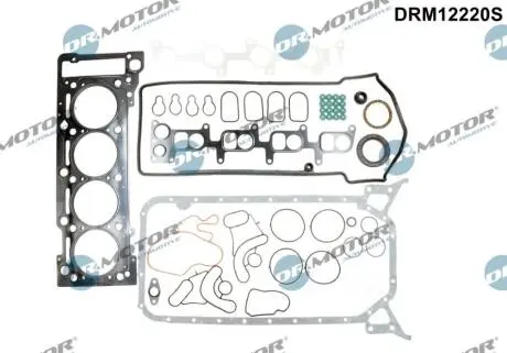 DRM12220S Комплект прокладок з різних матеріалів DR.MOTOR підбір по vin на Brocar