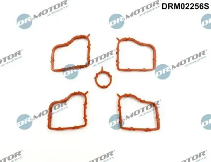 DRM02256S Комплект прокладок гумових DR.MOTOR подбор по vin на Brocar