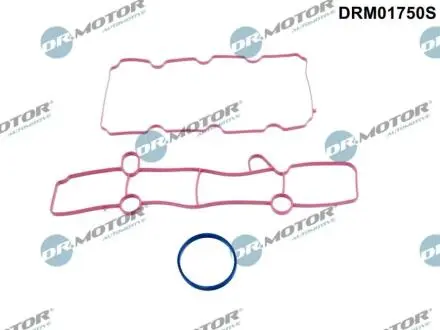 DRM01750S Комплект прокладок гумових DR.MOTOR підбір по vin на Brocar