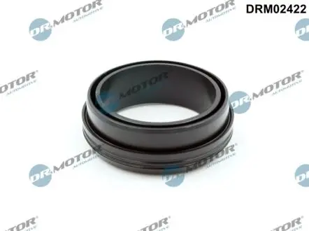 DRM02422 Кільце гумове DR.MOTOR підбір по vin на Brocar