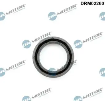 DRM02260 Кільце гумове DR.MOTOR підбір по vin на Brocar