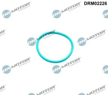 DRM02226 Кільце гумове DR.MOTOR підбір по vin на Brocar