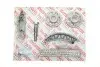 Комплект ланцюга привідного грм 73518Set