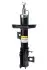 Амортизатор передній пр, Aveo (T300),Cobalt 11- (газ,) RS3330041