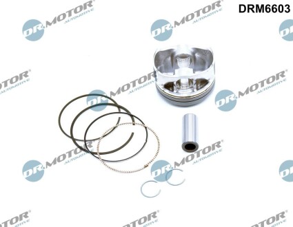 DRM6603 Поршень DR.MOTOR підбір по vin на Brocar