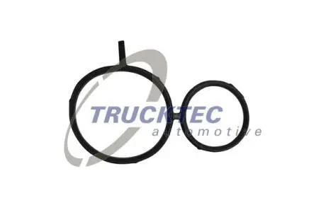 0810059 Прокладка, картер рулевого механизма TRUCKTEC подбор по vin на Brocar