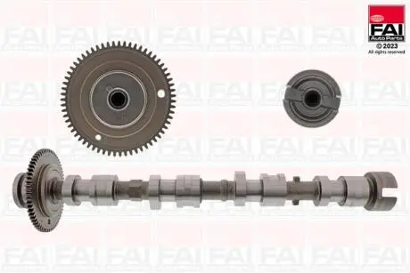C529 Кулачковий вал FAI AUTOPARTS подбор по vin на Brocar