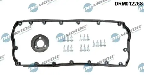 DRM01226S Комплект прокладок з різних матеріалів DR.MOTOR подбор по vin на Brocar