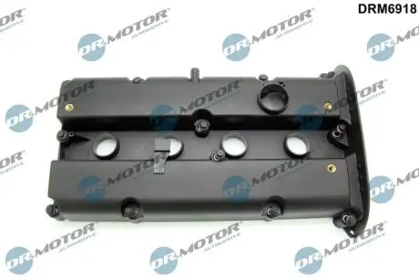 DRM6918 Кришка головки блоку циліндрів ДВЗ DR.MOTOR подбор по vin на Brocar