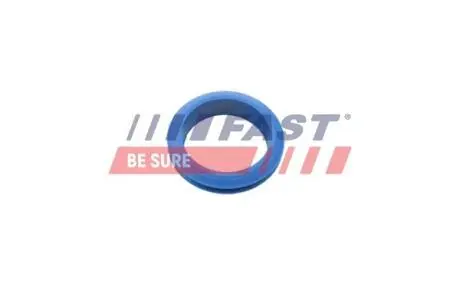 FT48955 Ущільнювач масляного щупа FORD FOCUS I, TRANSIT CONNECT 1.8D 03.01-12.13 FAST подбор по vin на Brocar