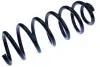 Пружина задн. Nissan Qashqai 1.2DIG-T 13- /Renault Kadjar 1.2Tce/1.5dCi 15- D700457
