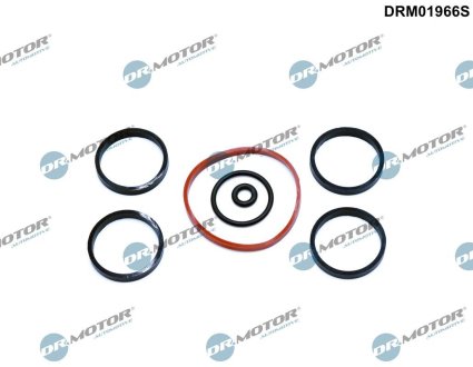 DRM01966S К-т прокладок впускного колектора 7 елементiв DR.MOTOR подбор по vin на Brocar