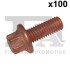 Болт з головкою системи TORX з чорного металу 982-T08-721.100