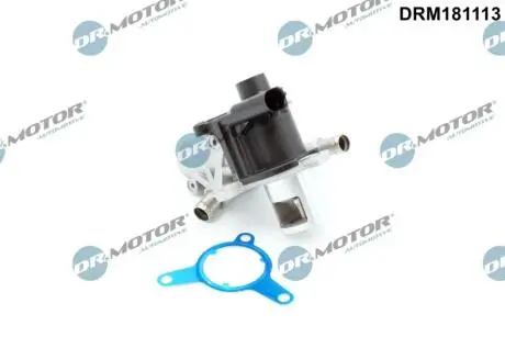 DRM181113 Клапан рециркуляцiї DR.MOTOR подбор по vin на Brocar
