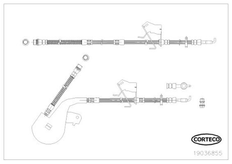 19036855 Тормозной шланг CORTECO підбір по vin на Brocar