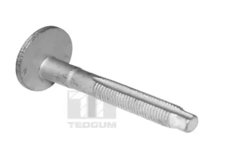 TED39597 Гвинт TEDGUM підбір по vin на Brocar