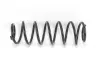 Пружина задня FORD FIESTA V/FIESTA V Van 01- D10/108  L336 L/R RP1185