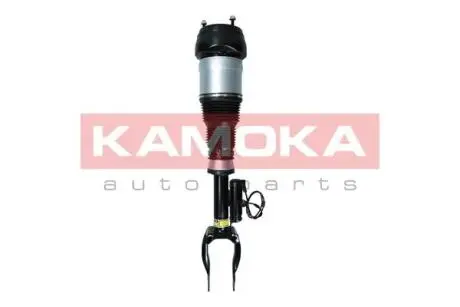 2070004 Амортизатор KAMOKA подбор по vin на Brocar