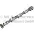 50007925 Розподілвал FORD 1.6 Ecoboost \&#039;\&#039;10-19 IN KOLBENSCHMIDT підбір по vin на Brocar