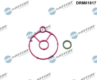 DRM01817 К-т прокладок масляного радiатора 2 елементи DR.MOTOR подбор по vin на Brocar