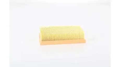 BSG75135022 Фільтр повітряний Qashqai/X-Trail/Koleos 1.6/2.0 i/dCi 07- BSG підбір по vin на Brocar