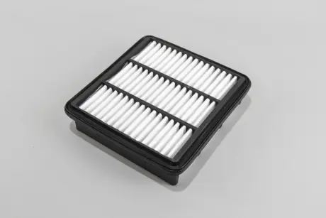 RF1685WB Фільтр повітряний Hyundai I30/Ceed 07- GOODREM подбор по vin на Brocar