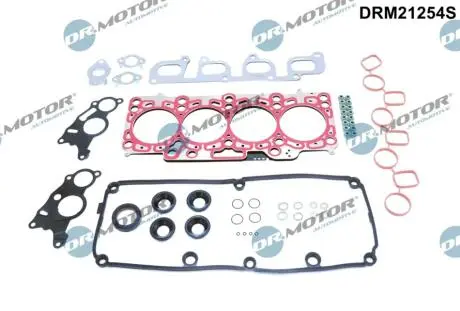 DRM21254S Комплект прокладок з різних матеріалів DR.MOTOR підбір по vin на Brocar