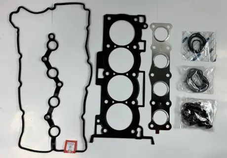 209202GB01M Комплект прокладок з різних матеріалів DYG підбір по vin на Brocar