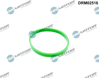 DRM02516 Прокладка впускного колектора DR.MOTOR підбір по vin на Brocar