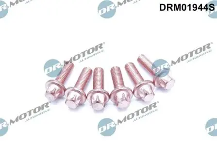 DRM01944S Болти крiплення турбiни, 6 шт DR.MOTOR подбор по vin на Brocar